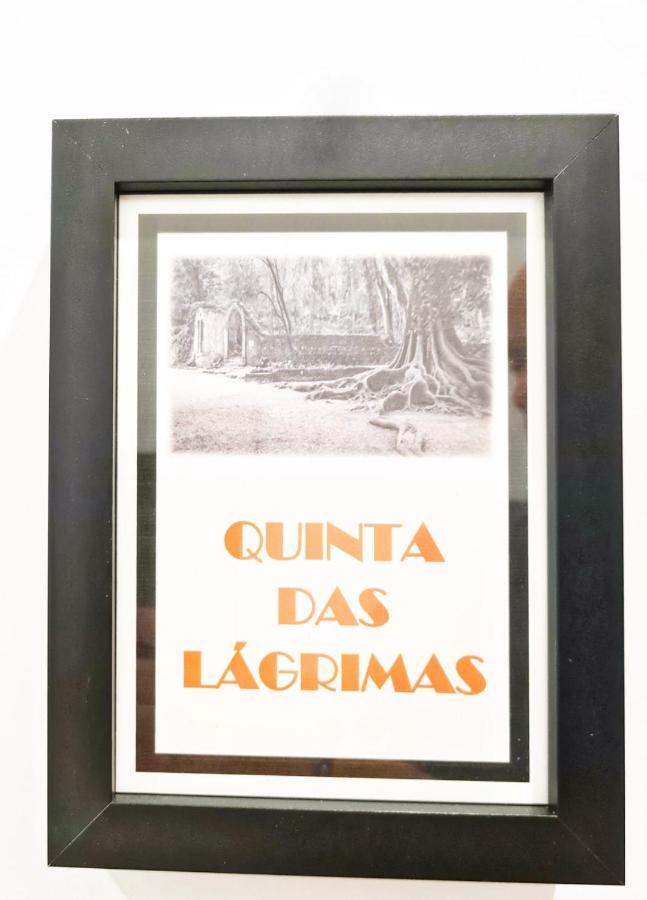 Coimbra City Charm 외부 사진